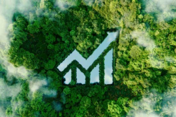 国家数据局：上半年主要数据交易机构新挂牌上架数据产品达3328个 同比增长70%